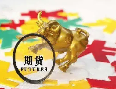 期权并非是期货中的期货(期权和期货的区别与联系)_https://www.xmqjcw.com_期货百科_第1张