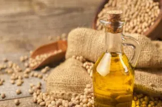 豆油期货停盘(豆油期货停盘原因)_https://www.xmqjcw.com_期货百科_第1张