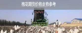 棉花期货刚上市时(棉花期货什么时候开盘)_https://www.xmqjcw.com_期货百科_第1张