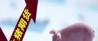 买生猪期货有什么条件(买猪肉期货需要什么条件)_https://www.xmqjcw.com_期货百科_第1张