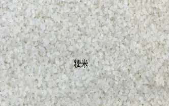 大米对应的期货(期货一手大米多少吨)_https://www.xmqjcw.com_期货百科_第1张