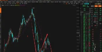 硬麦期货实时行情(硬麦期货实时行情分析)_https://www.xmqjcw.com_期货百科_第1张