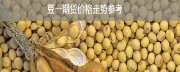 黄豆期货和豆粕期货有关系吗(豆粕期货2505对应的是哪里的大豆)_https://www.xmqjcw.com_期货百科_第1张