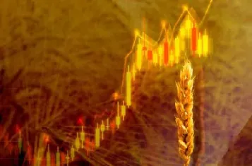 小麦期货投资策略(小麦期货价格最新行情)_https://www.xmqjcw.com_期货百科_第1张