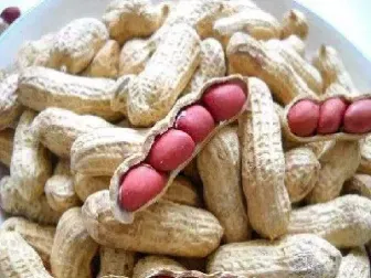 花生期货是热门品种吗(期货花生是带壳的吗)_https://www.xmqjcw.com_期货百科_第1张