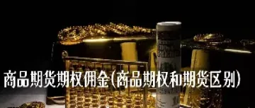 商品期权和商品期货估值(商品期权和期货的波动是同步的吗)_https://www.xmqjcw.com_期货百科_第1张