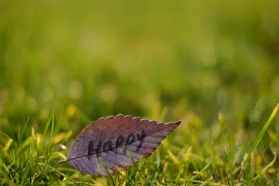 期货指数与期货的关系有哪些(富时a50指数期货和a股的关系)_https://www.xmqjcw.com_期货百科_第1张