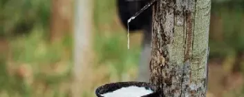 橡胶期货的交割企业(橡胶期货如何交易)_https://www.xmqjcw.com_期货百科_第1张