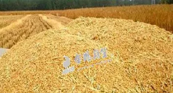菜粕期货1手是多少(菜粕期货一仓是多少手)_https://www.xmqjcw.com_期货百科_第1张