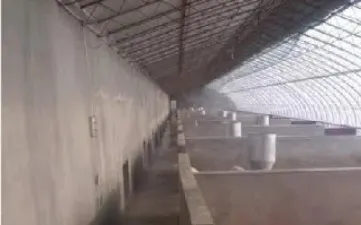 猪期货对养猪的影响有哪些方面(生猪期货对养猪人的影响)_https://www.xmqjcw.com_期货百科_第1张