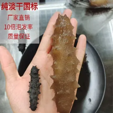 海参期货分销商(海参期货分销商有哪些)_https://www.xmqjcw.com_期货百科_第1张