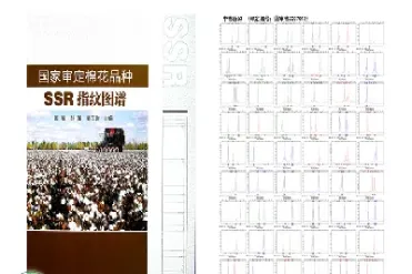 棉花相关联期货品种(棉花期货关联品种)_https://www.xmqjcw.com_期货百科_第1张