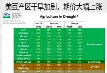 跟随玉米和大豆期货涨势(大豆和玉米期货相关性)_https://www.xmqjcw.com_期货百科_第1张