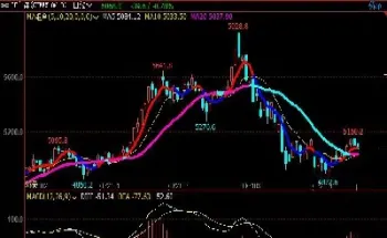 期货长线交易枝巧图(期货单根k线交易技巧)_https://www.xmqjcw.com_期货百科_第1张