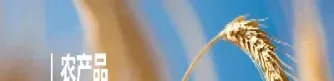 农产品期货的现象(农产品期货发展前景)_https://www.xmqjcw.com_期货百科_第1张