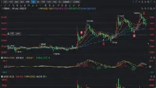 内盘期货实盘交易曲线发一下(期货内盘与外盘行情区别)_https://www.xmqjcw.com_期货百科_第1张
