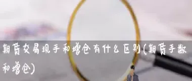 期货明细里现手有红和蓝(期货明细里的现手和增仓)_https://www.xmqjcw.com_期货百科_第1张