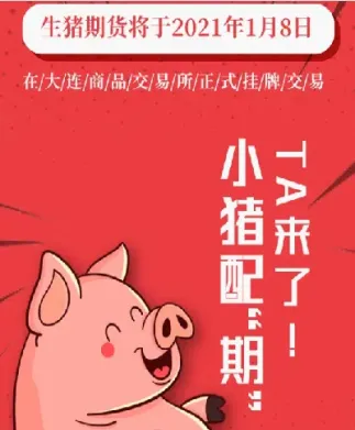 生猪期货2303(生猪期货2307交割价格是多少)_https://www.xmqjcw.com_期货百科_第1张