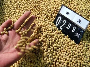 大豆跨品期货市场如何(大豆期货如何交易)_https://www.xmqjcw.com_期货百科_第1张