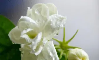 在期货市场当中(在期货市场上以获取价差收益为目的的期货交易行为称为)_https://www.xmqjcw.com_期货百科_第1张