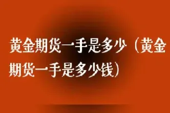 外盘黄金期货一手(外盘黄金期货一手的手续费多少)_https://www.xmqjcw.com_期货百科_第1张