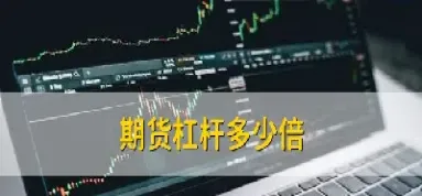 期货交易杠杆一般是多少(期货的杠杆一般是多少)_https://www.xmqjcw.com_期货百科_第1张