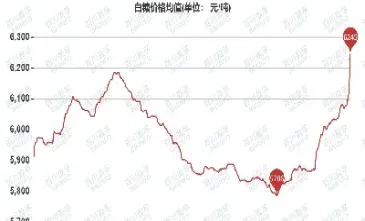 白糖期货外盘关系(白糖期货与外盘关系)_https://www.xmqjcw.com_期货百科_第1张