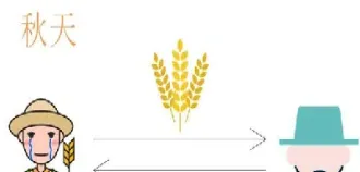 小麦期货典型合约(小麦期货合约内容)_https://www.xmqjcw.com_期货百科_第1张