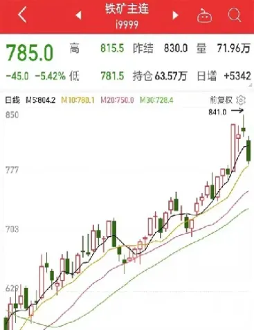 铁矿石期货怎么暂停了(铁矿石期货不能交易)_https://www.xmqjcw.com_期货百科_第1张