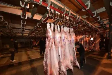 猪肉期货在哪个交易所上市(猪肉期货叫什么)_https://www.xmqjcw.com_期货百科_第1张