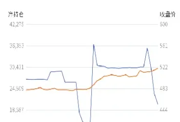 期货机构为什么净持仓大幅增加一倍(期货机构持仓大幅减仓)_https://www.xmqjcw.com_期货百科_第1张