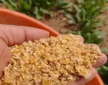 豆粕2105期货(豆粕2105期货走势)_https://www.xmqjcw.com_期货百科_第1张