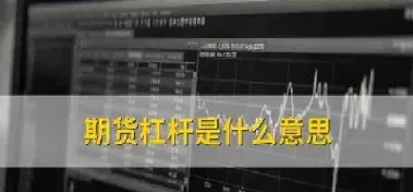 股指期货的杠杆作用是什么(股指期货的杠杆作用是什么意思)_https://www.xmqjcw.com_期货百科_第1张