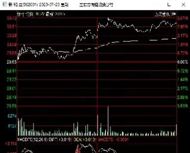 期货分时走势图(期货分时走势图图解)_https://www.xmqjcw.com_期货百科_第1张