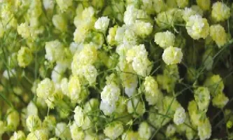 掌上期货与指尖赢家(掌上期货与期货先锋是一家吗)_https://www.xmqjcw.com_期货百科_第1张