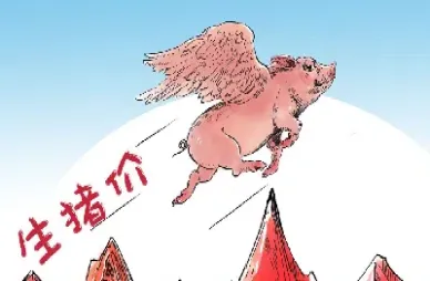 猪肉价格涨涨涨 生猪期货跌跌跌(猪肉价格涨生猪期货跌预示什么)_https://www.xmqjcw.com_期货百科_第1张
