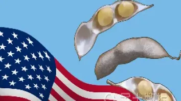 受制于美国大豆期货(美国大豆期货交易单位)_https://www.xmqjcw.com_期货百科_第1张