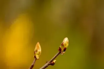 期货需要当天止损么(期货怎么设止损止盈)_https://www.xmqjcw.com_期货百科_第1张