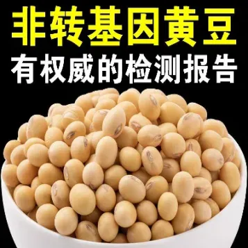 黄豆期货每个月都有吗(黄豆期货基本面分析)_https://www.xmqjcw.com_期货百科_第1张
