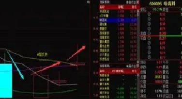 期货盘资金流入流出在哪里查到(期货品种资金流入查询)_https://www.xmqjcw.com_期货百科_第1张