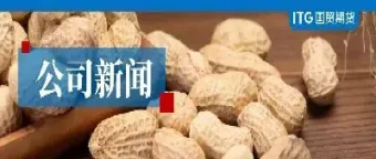 影响花生期货的因素(影响花生期货的因素有)_https://www.xmqjcw.com_期货百科_第1张