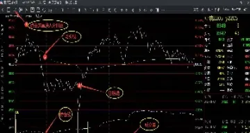 期货短线如何看周线(期货短线怎么判断方向)_https://www.xmqjcw.com_期货百科_第1张