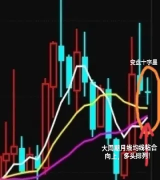 广晟期货怎么样(新晟期货怎么样)_https://www.xmqjcw.com_期货百科_第1张