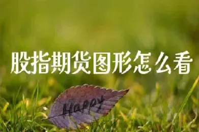 股指期货怎么看走势(股指期货怎么看走势图)_https://www.xmqjcw.com_期货百科_第1张