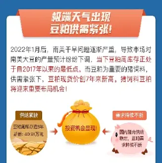 豆粕为什么期货价这么高(豆粕期货最高价)_https://www.xmqjcw.com_期货百科_第1张