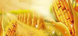玉米期货现在行情可以做空吗(玉米期货适合做短线)_https://www.xmqjcw.com_期货百科_第1张