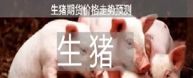 生猪期货保证金是多少(生猪期货保证金比例)_https://www.xmqjcw.com_期货百科_第1张