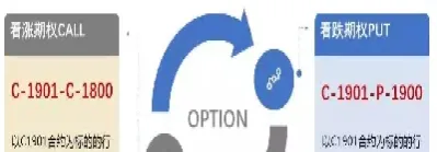 期权合约代码解读(期权合约代码解读图)_https://www.xmqjcw.com_期货百科_第1张