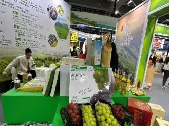 国际农产品期货行情走势(农产品期货交易市场)_https://www.xmqjcw.com_期货百科_第1张