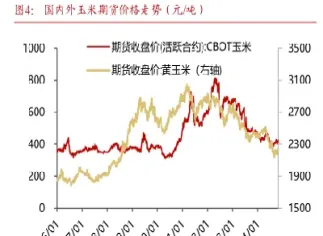 玉米期货价格分析和什么有关(玉米期货和玉米价格的关系)_https://www.xmqjcw.com_期货百科_第1张